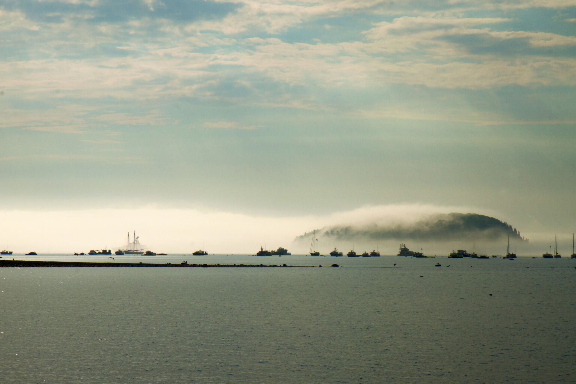 A sea monster rising out of the fog.